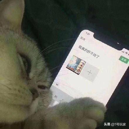 合区还是鬼区?阴阳师们不喜欢区服人多热闹?