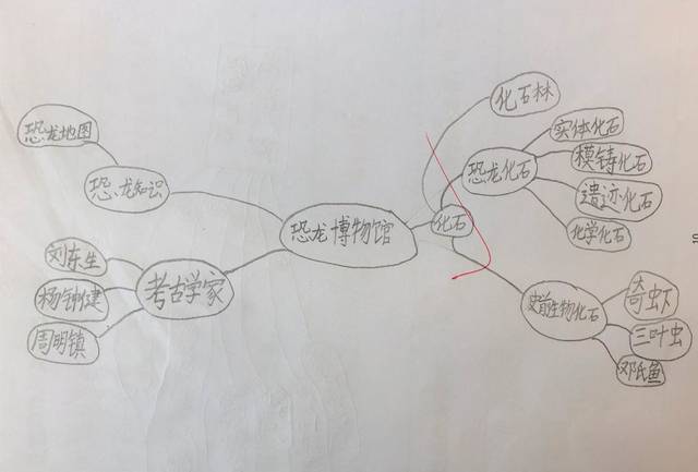 孩子们制作的博物馆思维导图 丰富的展品:孩子构建了一个他们眼中的