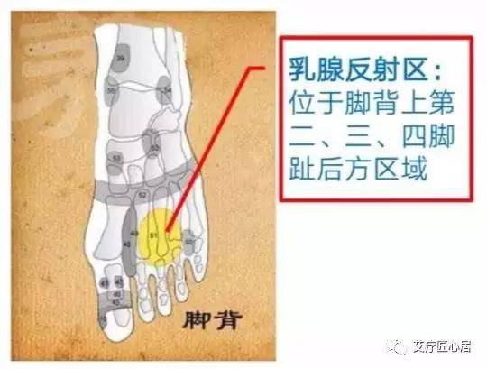 乳腺灸疗秘法(下):增生位置不同,疏通经络也不同