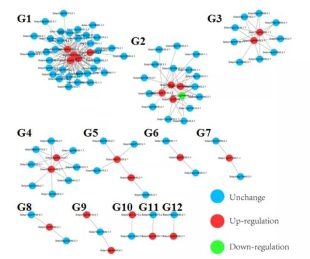 山东农大史庆华团队阐明GSNOR介导的S-亚硝