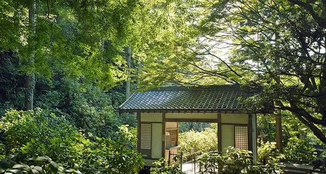 童年时期回忆-日本镰仓攻略