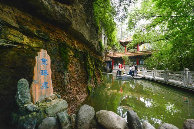 到崇信龙泉寺,我喝了六大杯泉水,真爽!