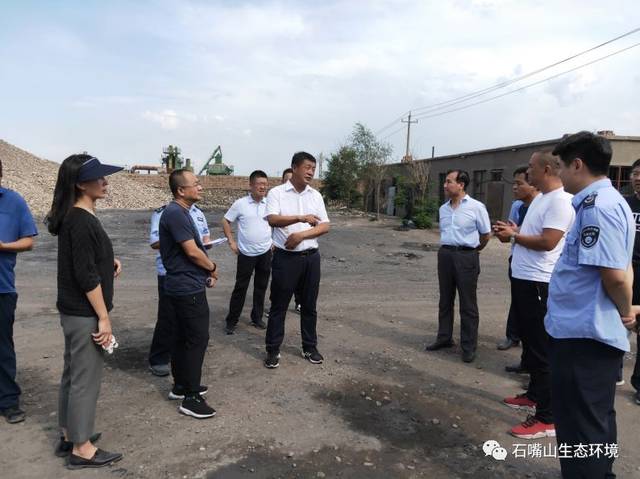 调研组一行先后实地查看了三二支沟平罗段人工湿地项目建设,威镇湖