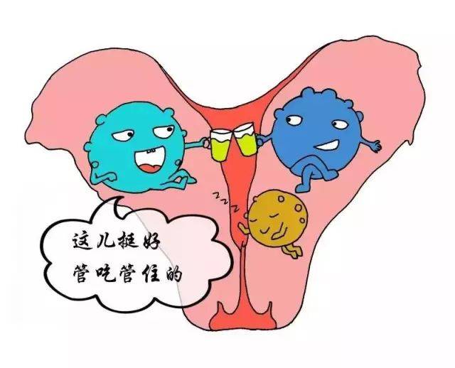 康美炎抑菌片:得了霉菌性阴道炎用什么药效果好?
