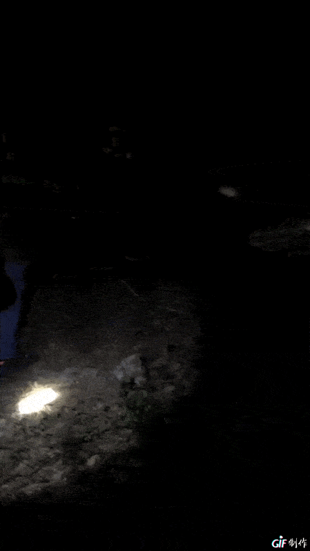 449_798 竖版 竖屏
