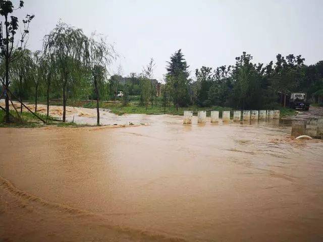 洛阳今天大雨,孟津农田和湿地都是洪水,瀍河涨水咆啸东去