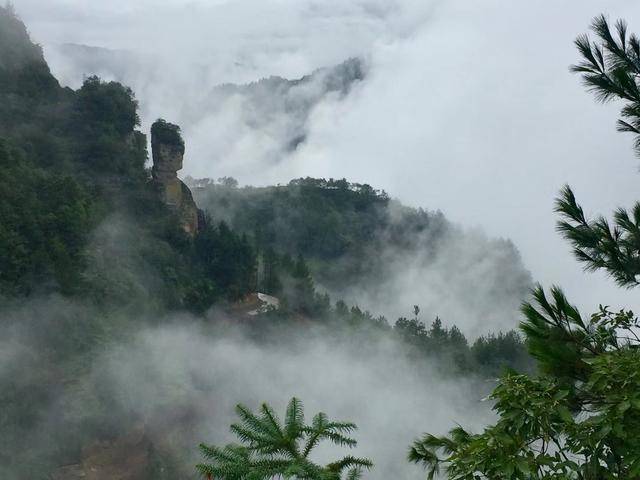 重庆的深山里藏着3块巨大岩石,其中一块意外撞脸特朗普