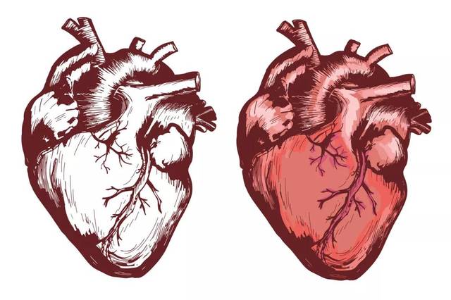 原创心脏微血管病变,堪比心脏慢性毒药,比心梗还可怕!