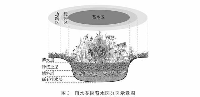 【景观设计】如何打造"雨水花园"