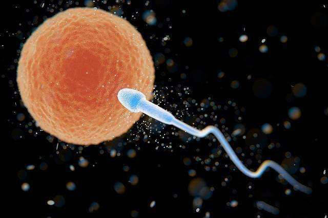 男性精子和卵子相遇全过程!生命真的是太神奇了.