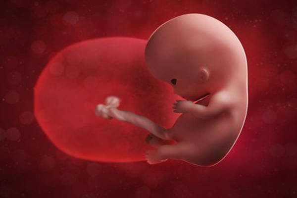 怀孕十周胎儿稳定了吗