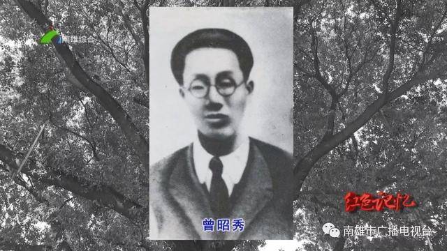 䡿 ---_ֻѺ