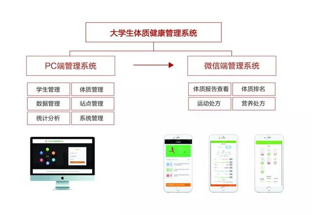 健康中国丨体质健康促进