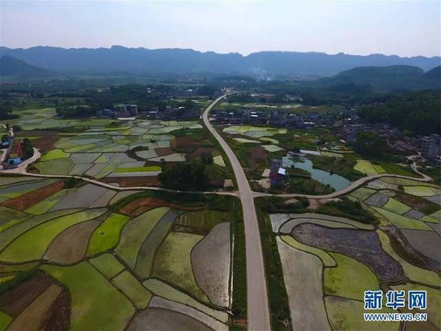 南宁南湖公园2000多深圳市1979高中图片