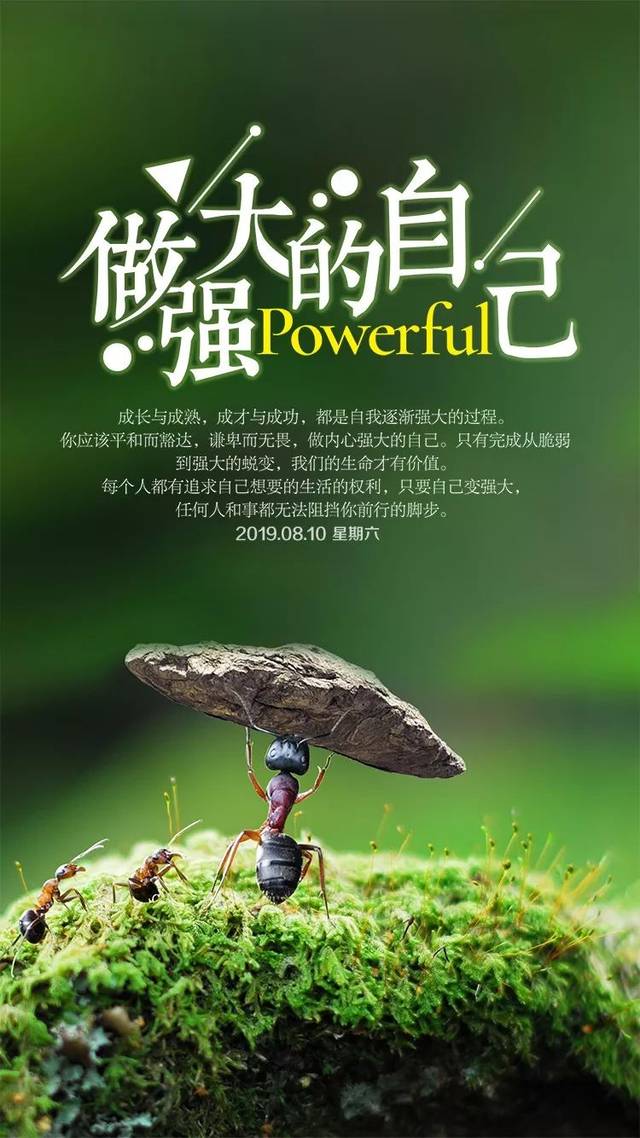 周六早安心语正能量很火的经典语录 朋友圈早上好图片