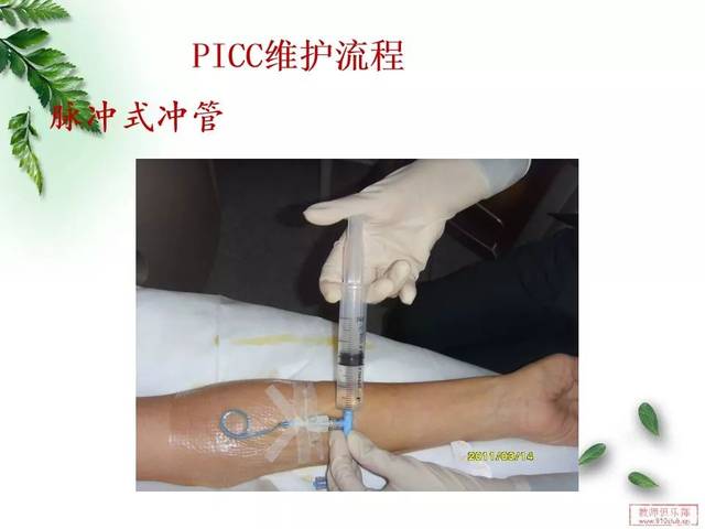 【ppt】picc导管的维护,这篇真的很详细!