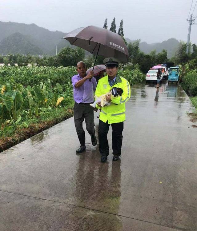 丽水传来一组图片!愿风雨中的你,平安!