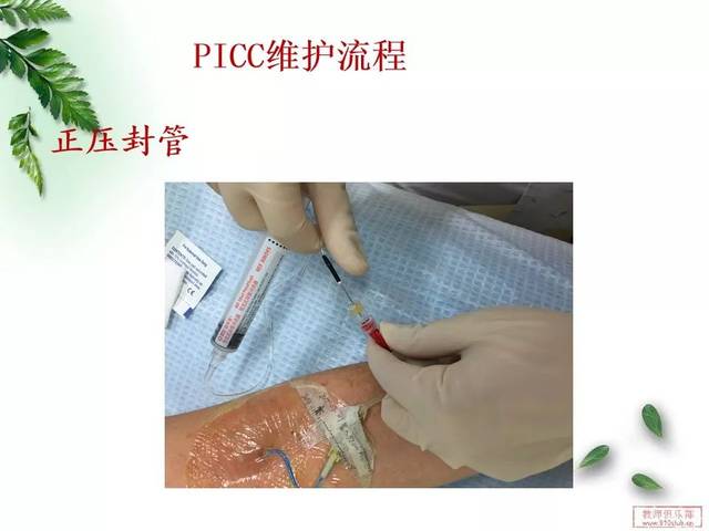 【ppt】picc导管的维护,这篇真的很详细!