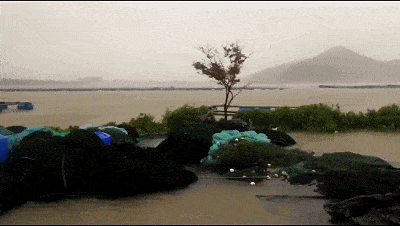 湛江开出首单水产气象险!金额达1000元/亩·份