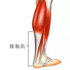 腿粗不是病,细不下来真要命!懒人美腿神器进来