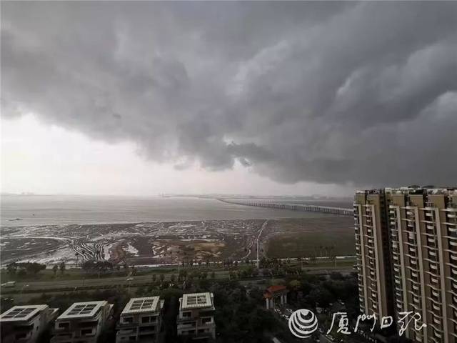 狂风暴雨袭厦门!闪电近千次!路淹树倒.堪比台风登陆!