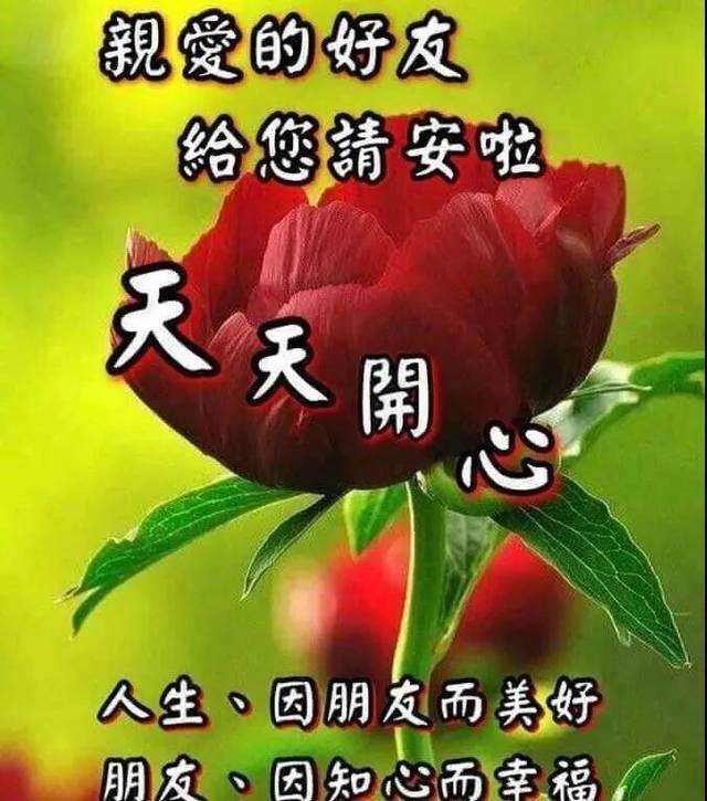 ϺʺͼƬȫ һϺñ