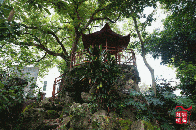 书院存世两百年,1911年学堂遭遇大火,仅余一座假山,旧址在今福州教育