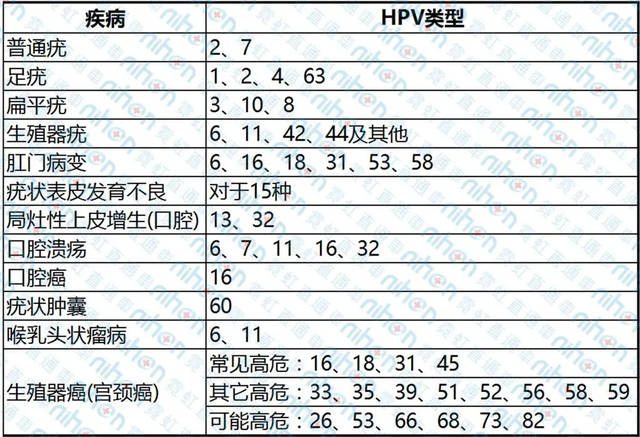 到底查tct还是hpv?一分钟教你读懂"宫颈癌"筛查报告!