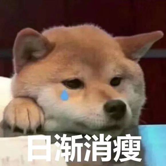 邵阳猪肉价格一路飙升,排骨价格1斤35元!