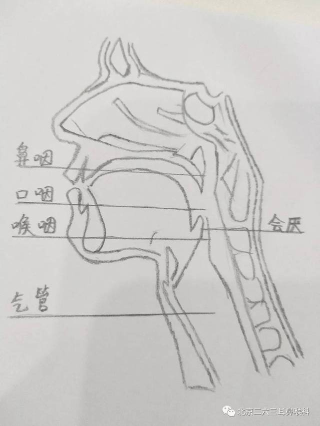 正确认识急性会厌炎