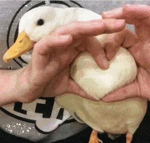 反正据同事妹子反馈,买回去本来是给老公用的,因为男生真的很容易出