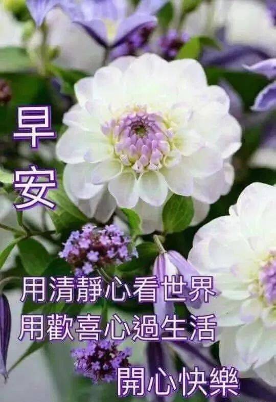 微信问候语早上好表情 早安问候语图片加文字