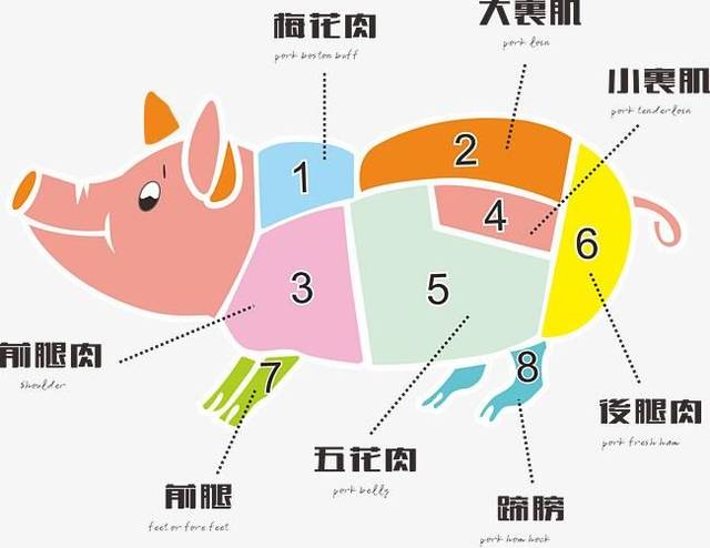 猪肉的各个部位介绍