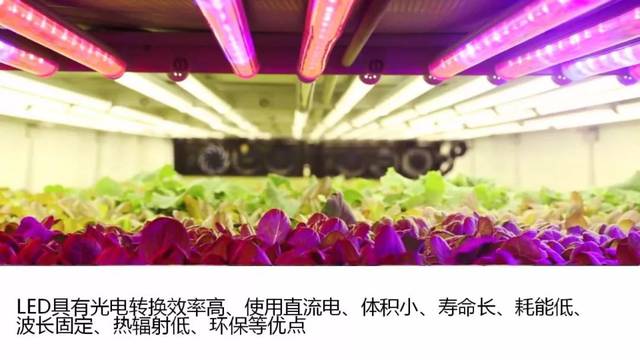可以试试人工光源!
