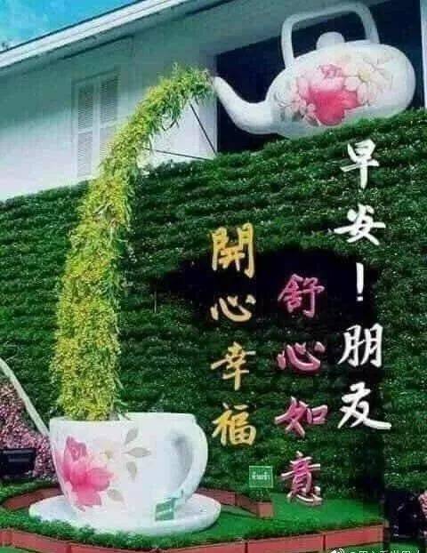 2019最新群发早上好问候动态表情图片 ,暖心早上好图片表情祝福语录