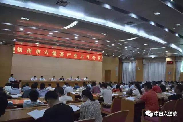 各县(市,区)党委和政府分管负责人,市六堡茶产业发展领导小组各成员