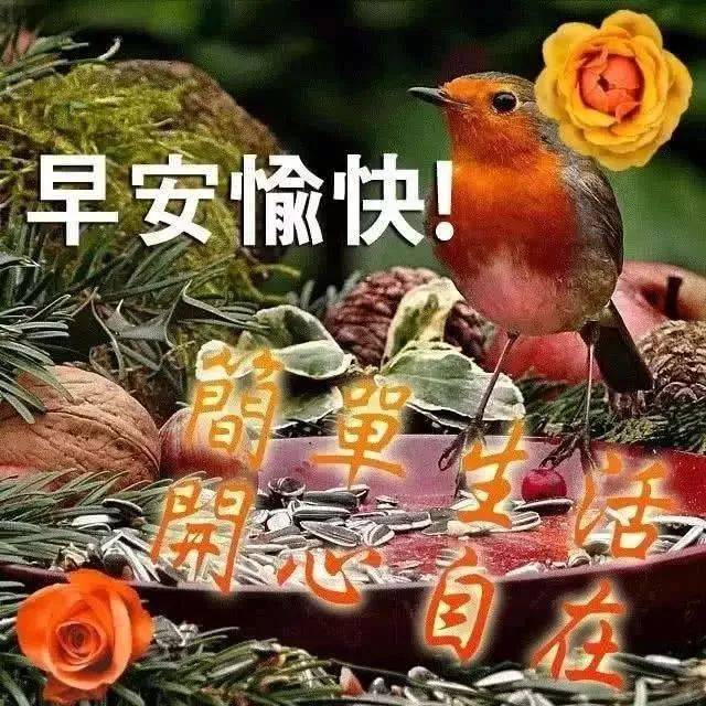 八月十三日问候早上好图片带字动态表情 早上好图片问候祝福语句子