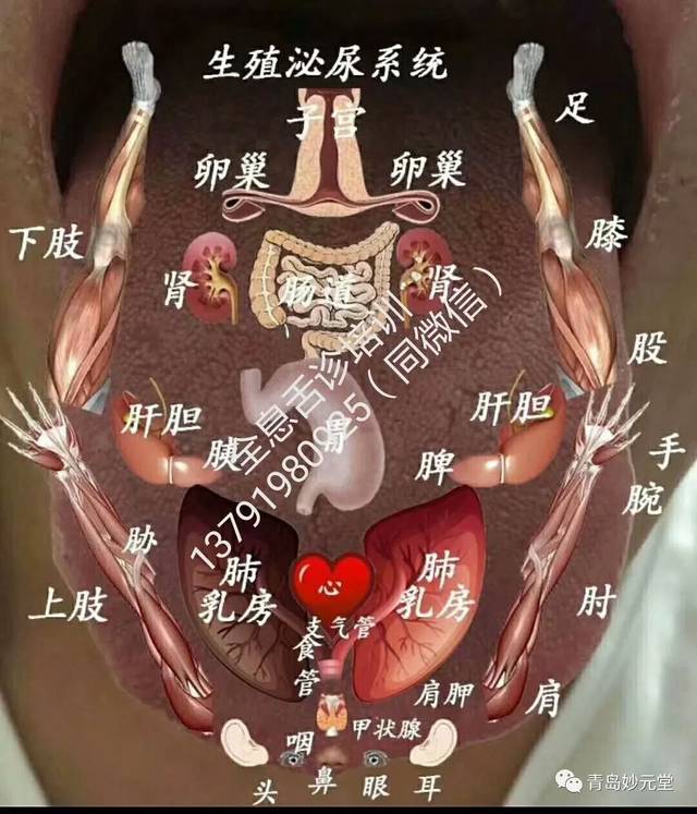 青岛三字经派小儿推拿,道医脏腑推拿,脐灸招生