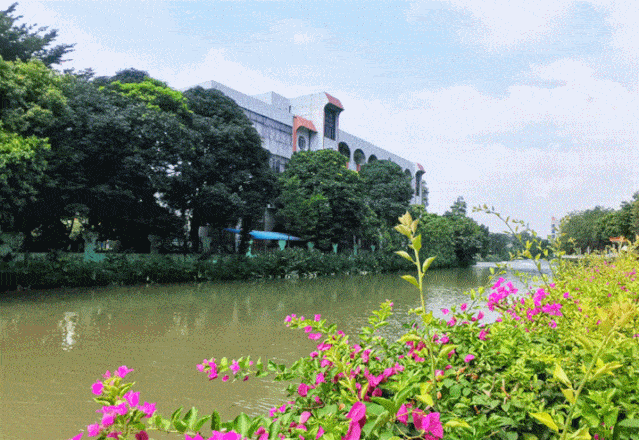 桂城这800年历史古村,崇文重教还