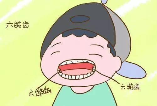 您认识孩子的六龄牙吗
