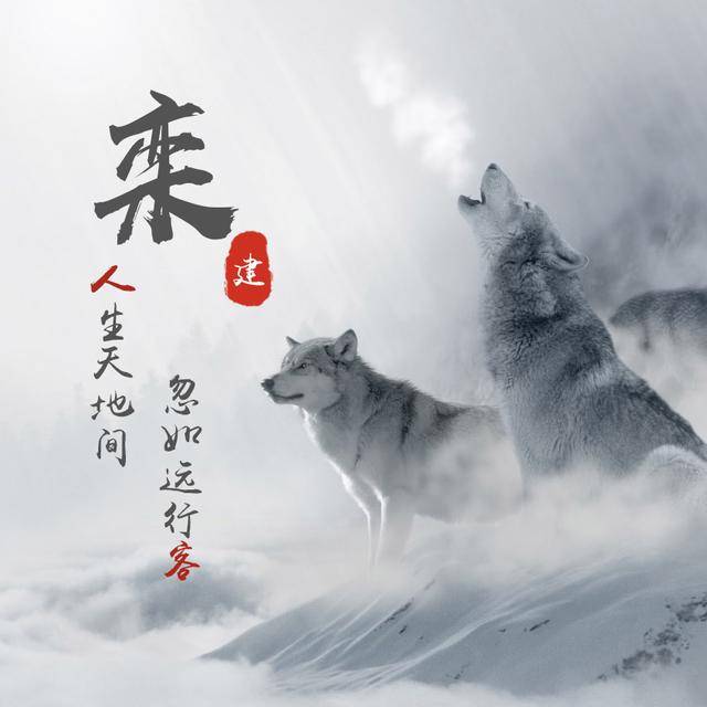 微信头像,姓氏头像,狼图腾精美姓名头像设计,有你喜欢