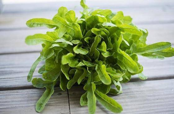 轻食沙拉的轻食生菜你认识几种