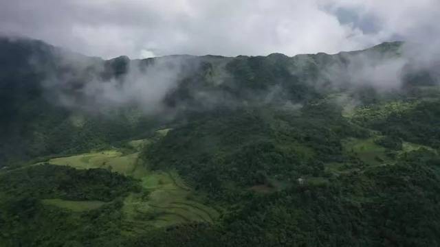 【智慧農(nóng)業(yè)】旬陽縣構(gòu)元鎮(zhèn)“石頭”經(jīng)濟(jì)向“滿山金銀” 變遷