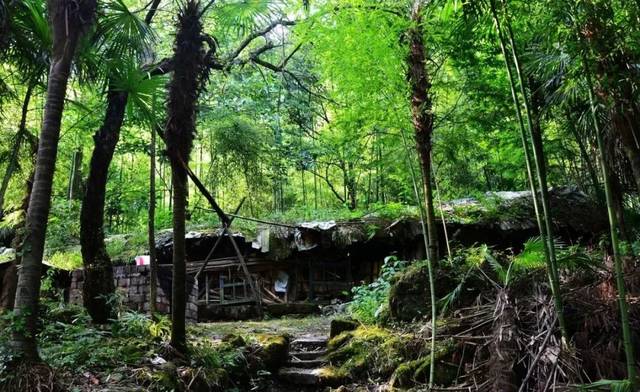 2h) 门票:免费 九龙沟 低温踩水吃火锅 temperature 基本上比成都市区