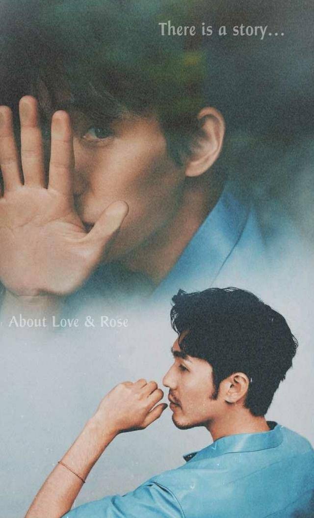 《陈情令》大结局,这些双男主电视剧可