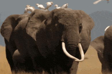 被囚禁凌辱20年,她终于忍不下去了.