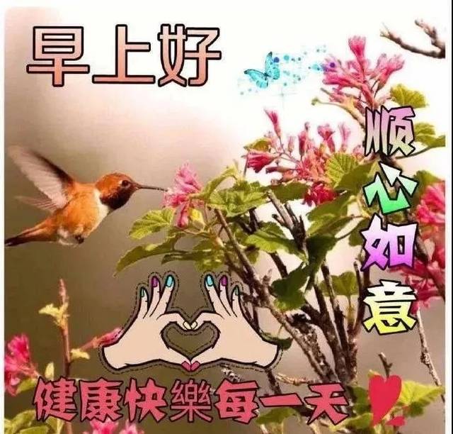 8月15日周四群发早上好问候祝福动态表情图片 最美早晨好问候表情动态