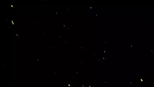 数万只萤火虫在夜色中飞舞 如歌曲中所唱那般 