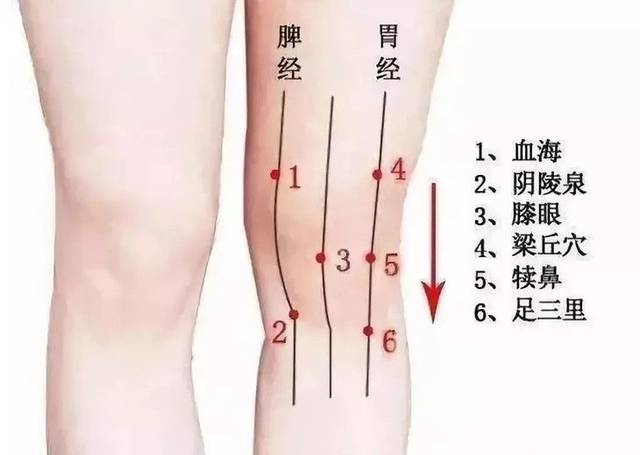 冬病夏治,抓住这个夏天,拯救你的膝盖颈椎 驱寒护膝告别膝盖酸疼!