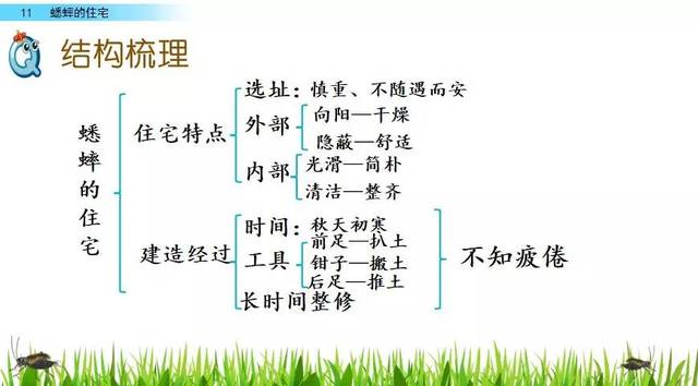 部编版四年级上册语文第11课《蟋蟀的住宅》图文讲解